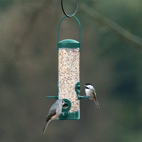 Four Feeding Stations