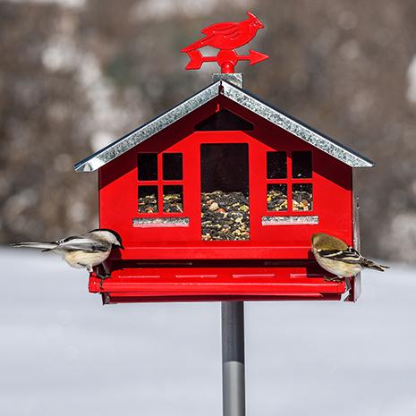 PERKY-PET Abreuvoir vintage pour oiseaux d'extérieur – MEUNERIE DALPHOND