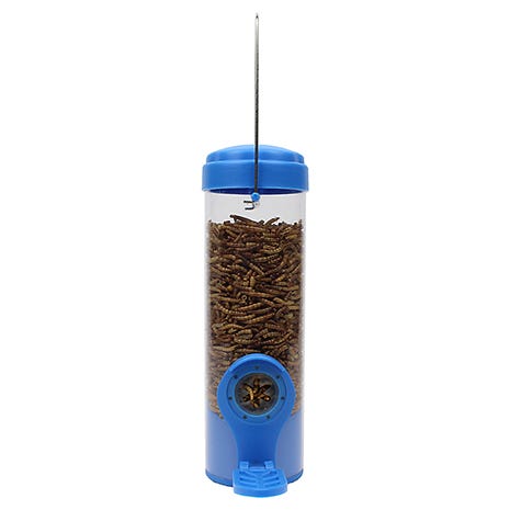 Dried Mealworm Bird Feeder With Flexports<sup>®</sup>