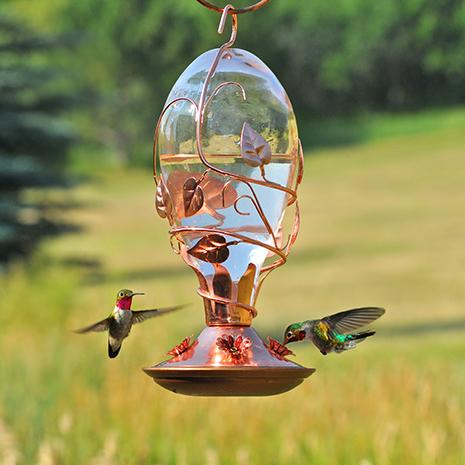 PERKY-PET Pinch-Waist, mangeoire à colibri en verre – MEUNERIE DALPHOND