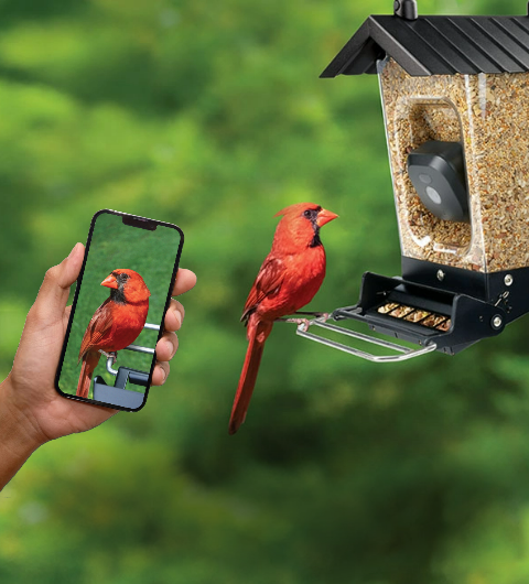 Smart Camera Bird Feeders