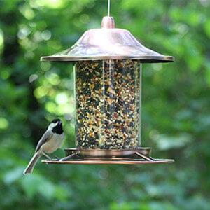 Perky-Pet® Copper Finish Panorama Feeder