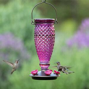 Perky-Pet® Diamond Wine Top-Fill Glass Hummingbird Feeder