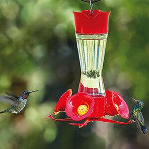 Perky-Pet® Pinch-Waist Glass Hummingbird Feeder