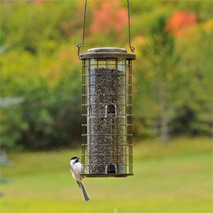 Perky-Pet® Squirrel Stumper® - 3 lb Seed Capacity