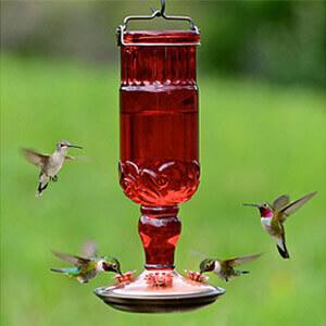 Perky-Pet® Red Antique Bottle Glass Hummingbird Feeder