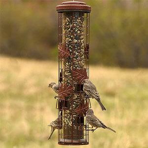 Perky-Pet® Squirrel-Be-Gone® Cylinder Wild Bird Feeder