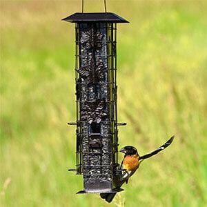 Perky-Pet® Squirrel-Be-Gone® Wild Bird Feeder