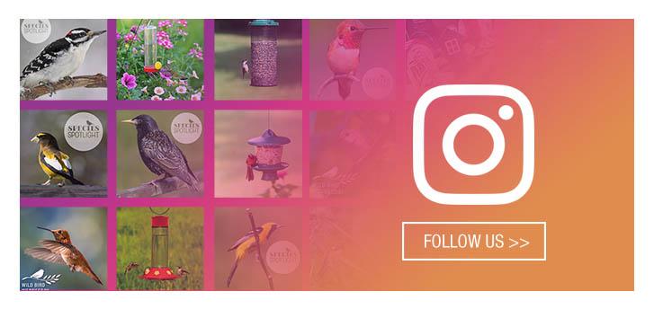 Follow Us on Instagram