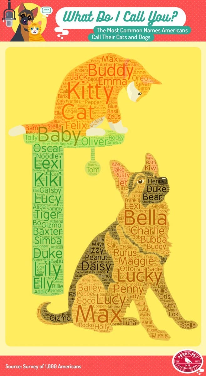 Common Names for Dogs and Cats