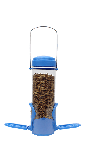 Dried Mealworm Feeder