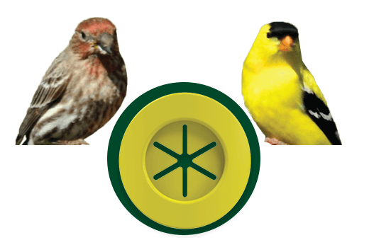 Finch flexports are perfect for small finch food