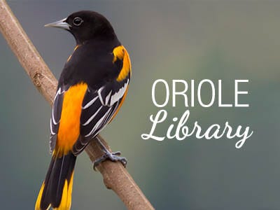 Oriole Library