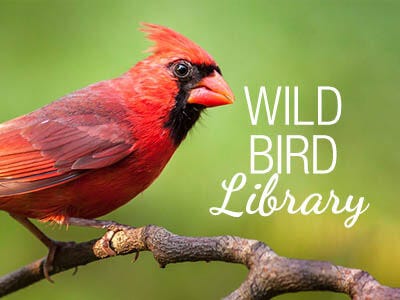 Wild Bird Library
