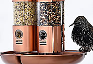 Filling tube bird feeders