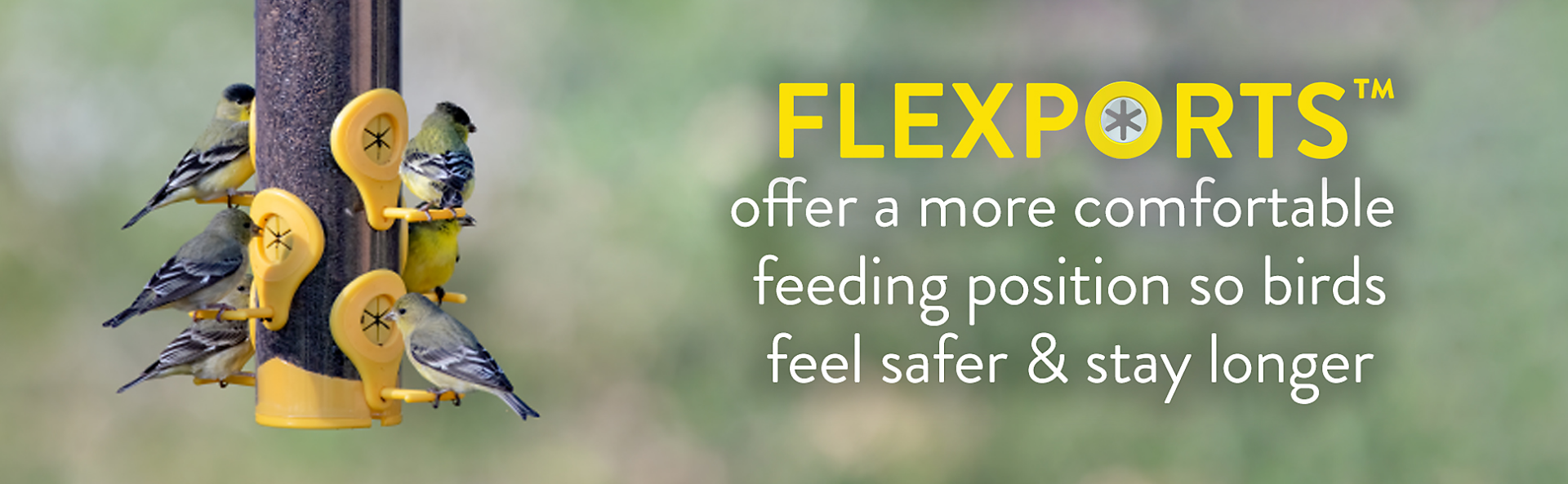 birds love the perky-pet finch feeder with flexports