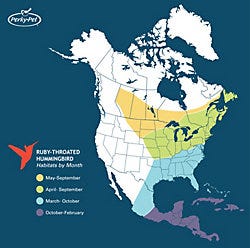 Ruby-Throated Hummingbird Map