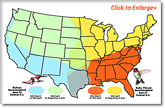 Hummingbird migration, hummingbird map