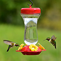 Hummingbird Feeder