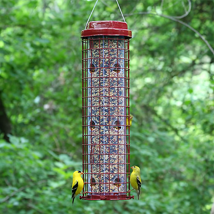 squirrel resistant feeder