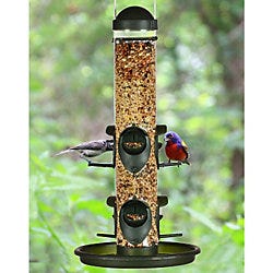 bird feeder