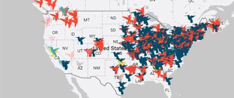 Hummingbird Migration