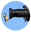 Bird Watching Spotting Scopes