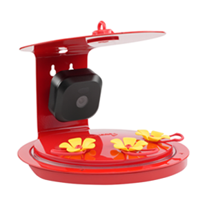Smart Camera Hummingbird Feeder