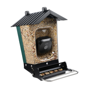 Smart Camera Squirrel Resistant Bird Feeder