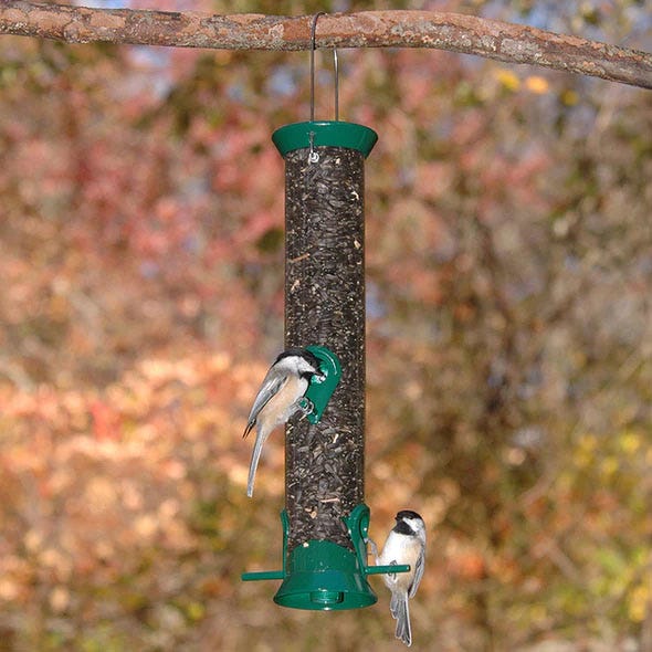 Seed Feeders