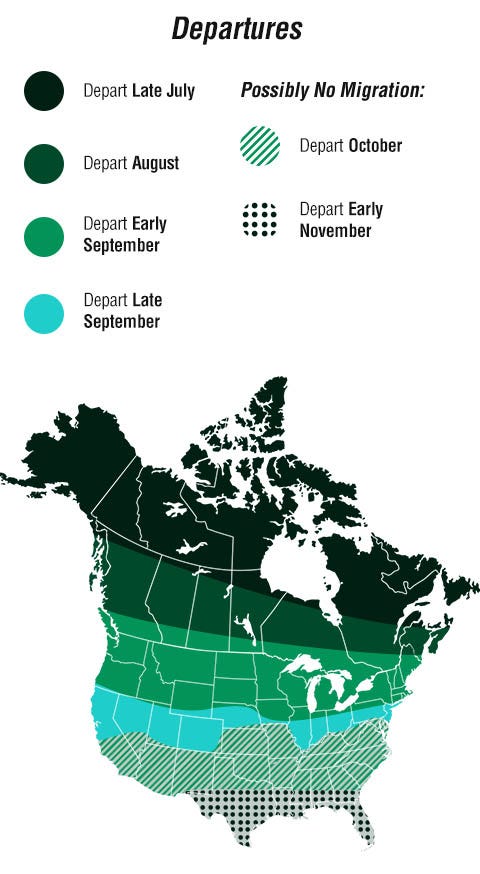 Bird Migration Departure Times
