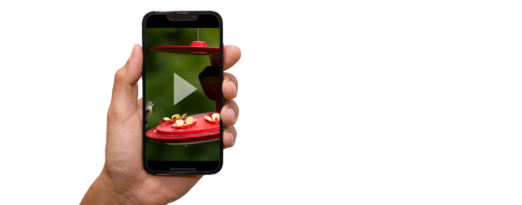 Mobile held by hand