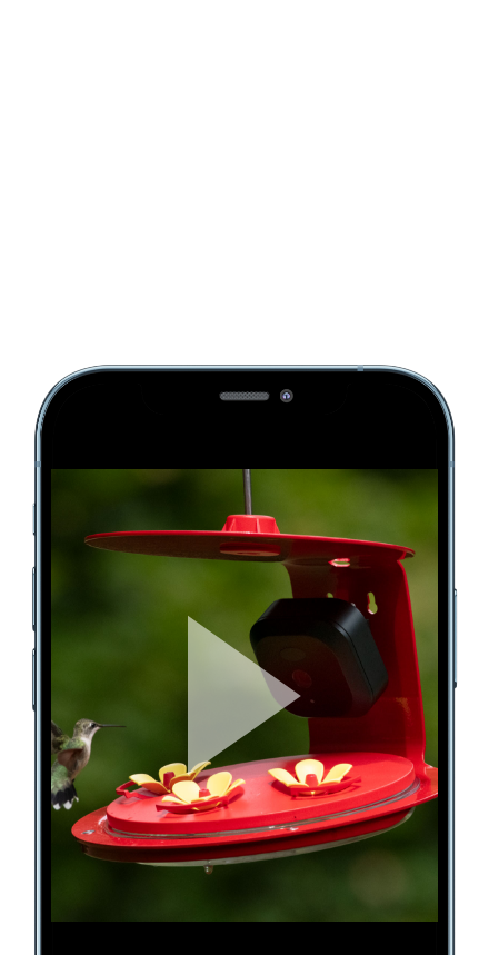 Mobile held by hand