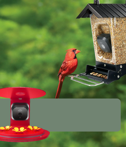 Smart Camera Bird Feeders