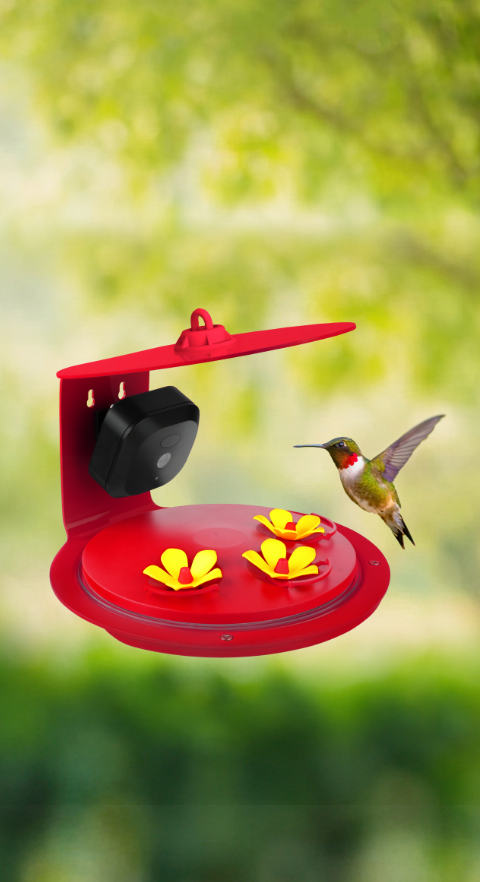 Smart Camera Hummingbird Feeder
