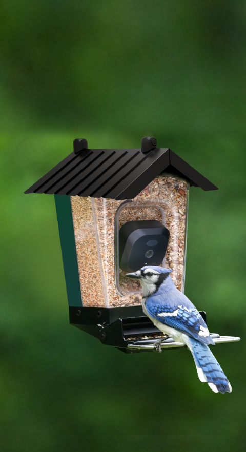 Smart Camera Squirrel Resistant Feeder