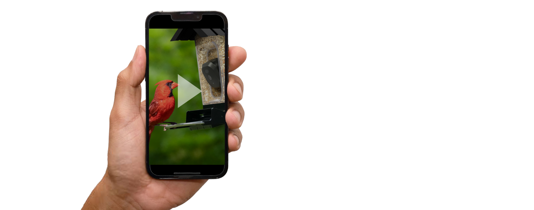 Mobile held by hand
