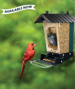 Smart Camera Bird Feeders